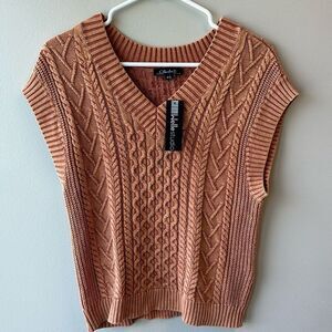 CHARLIE B Women's V-Neck Sweater in Rust